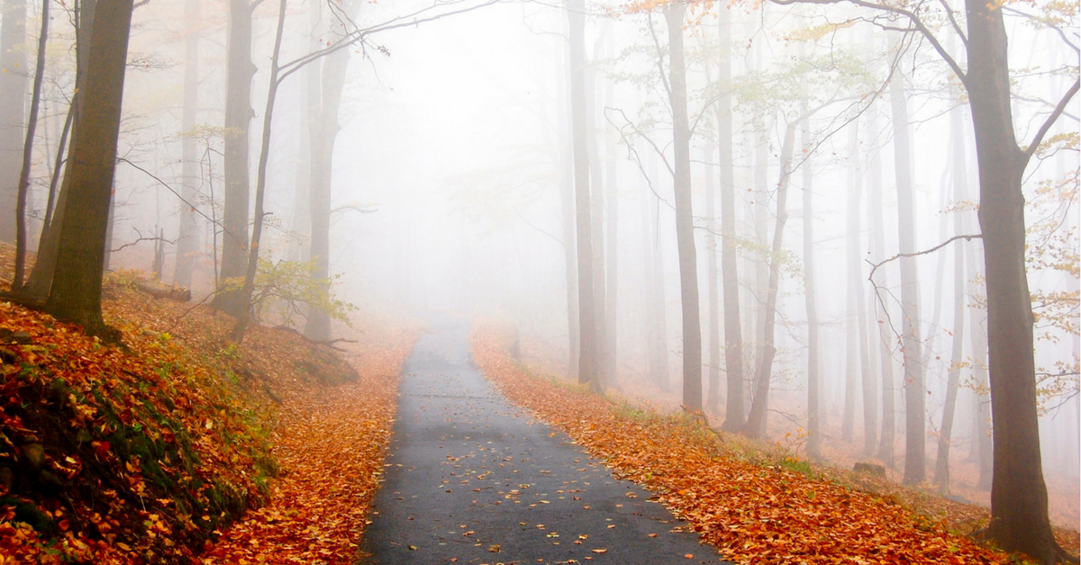 010 – Why Trust is More Important than Clarity: Choosing the Right Path in the Fog