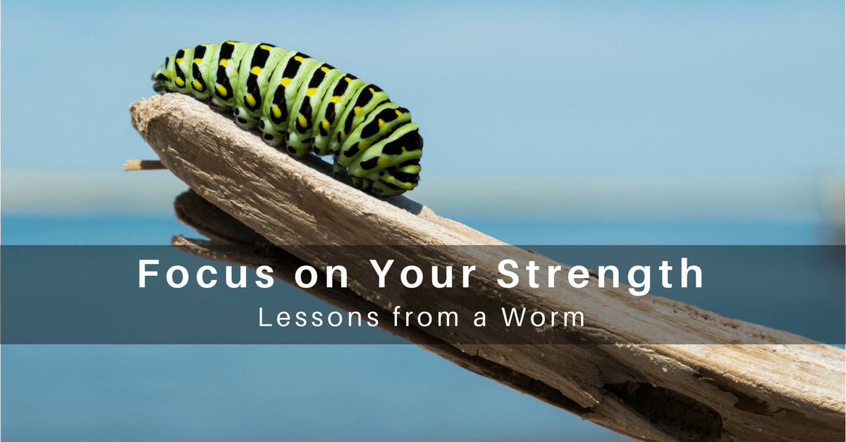 030 – Focus on Your Strength Zone