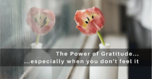 The Power of Gratitude