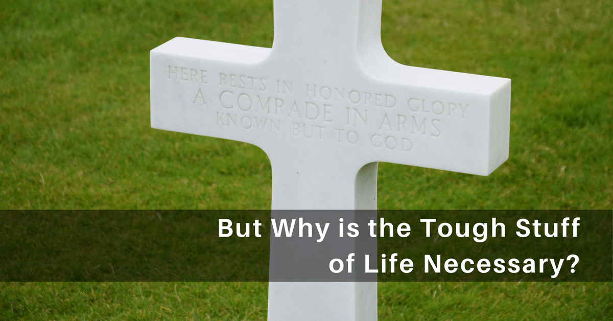 058- But Why is the Tough Stuff of Life Necessary?