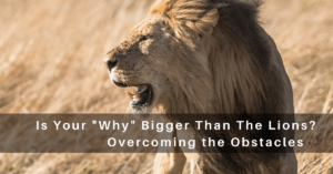 What is Your Why?