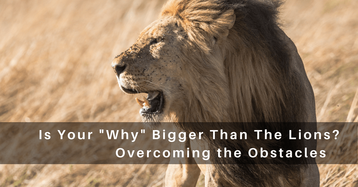 059 – Is Your “Why” Bigger than the Lions: Overcoming Obstacles
