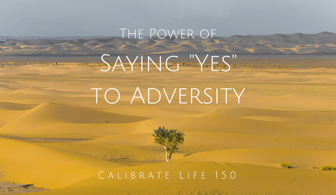 Saying Yes to Adversity